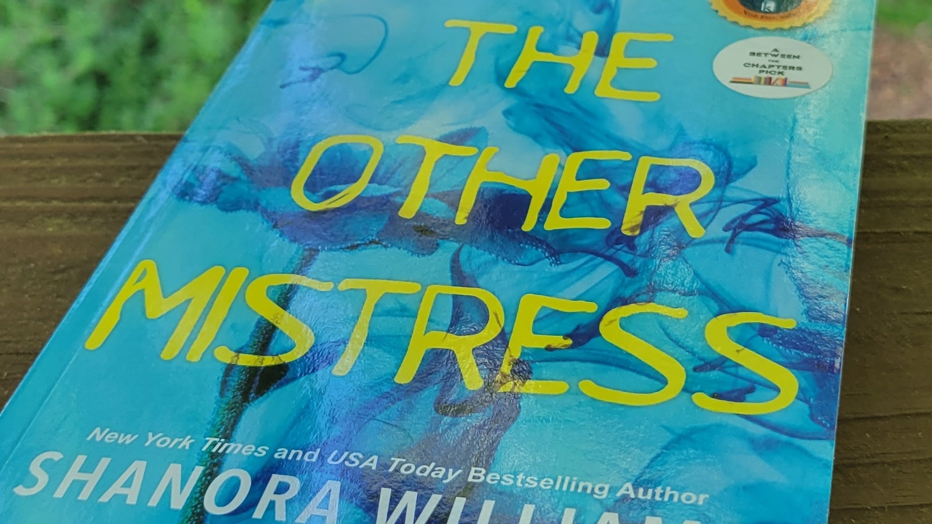 Cover of The Other Mistress by Shanora Williams