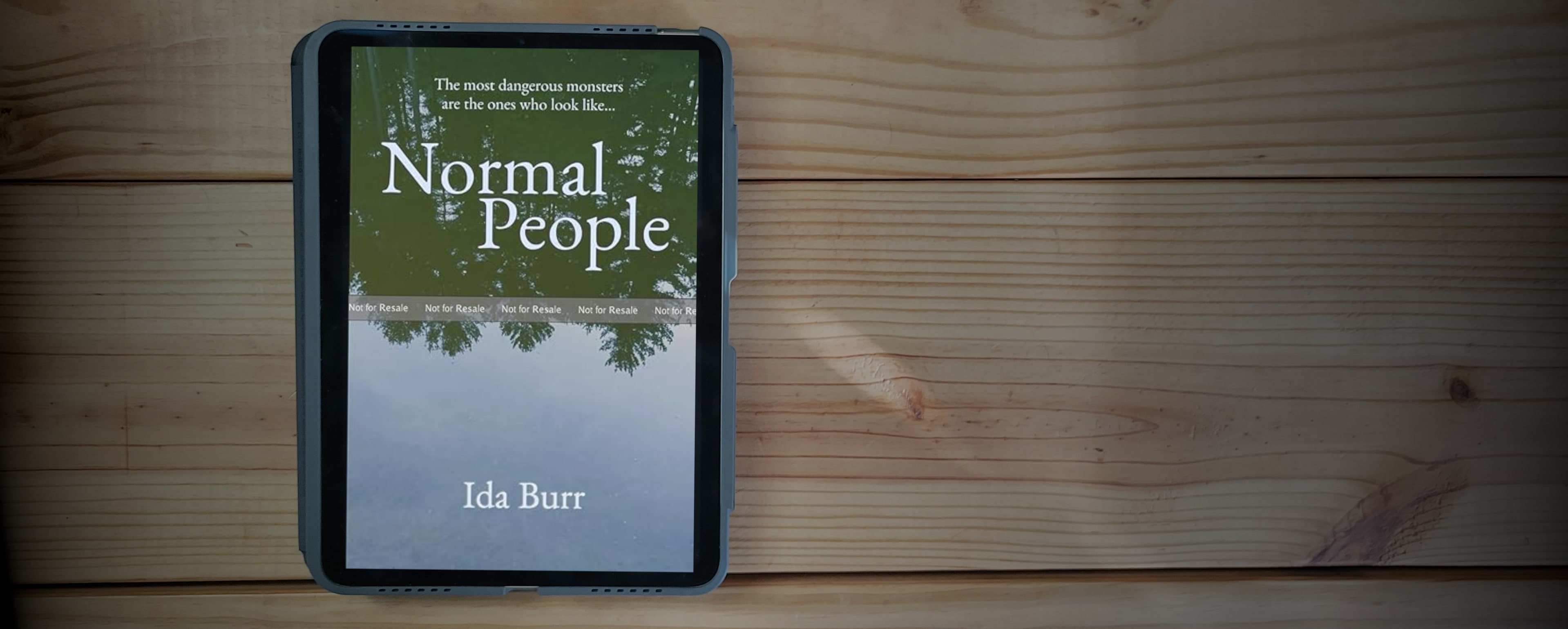 Book cover of Normal People by Ida Burr