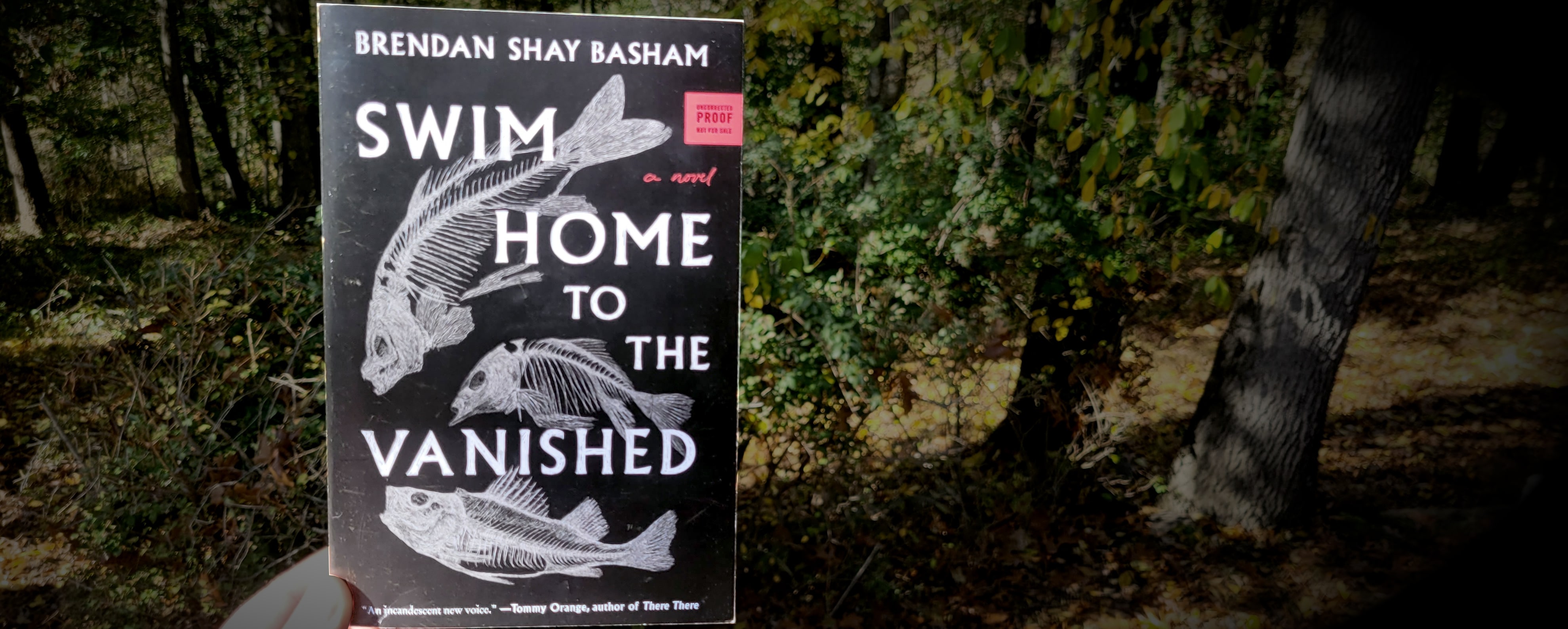Book cover of Swim Home to the Vanished by Brendan Shay Basham