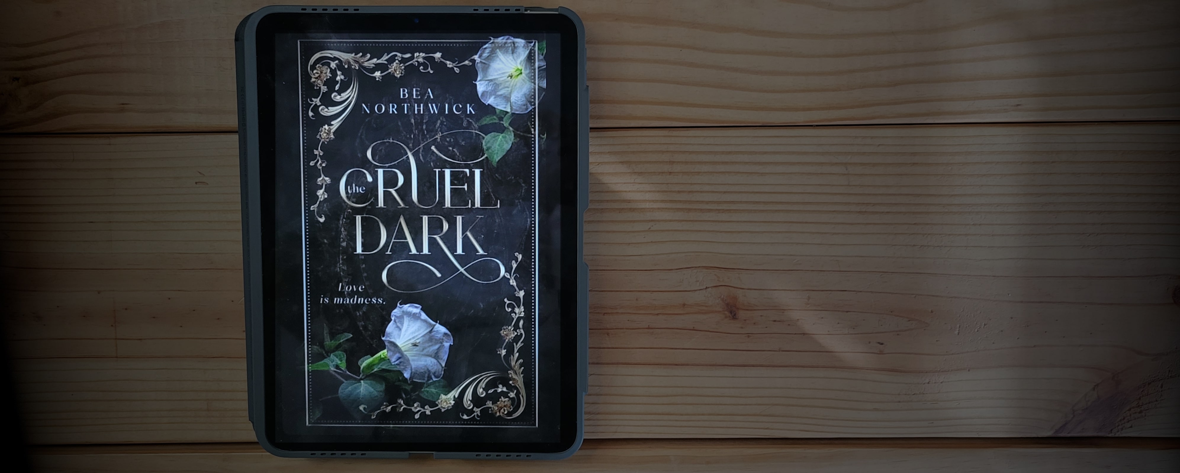 Book cover of The Cruel Dark by Bea Northwick
