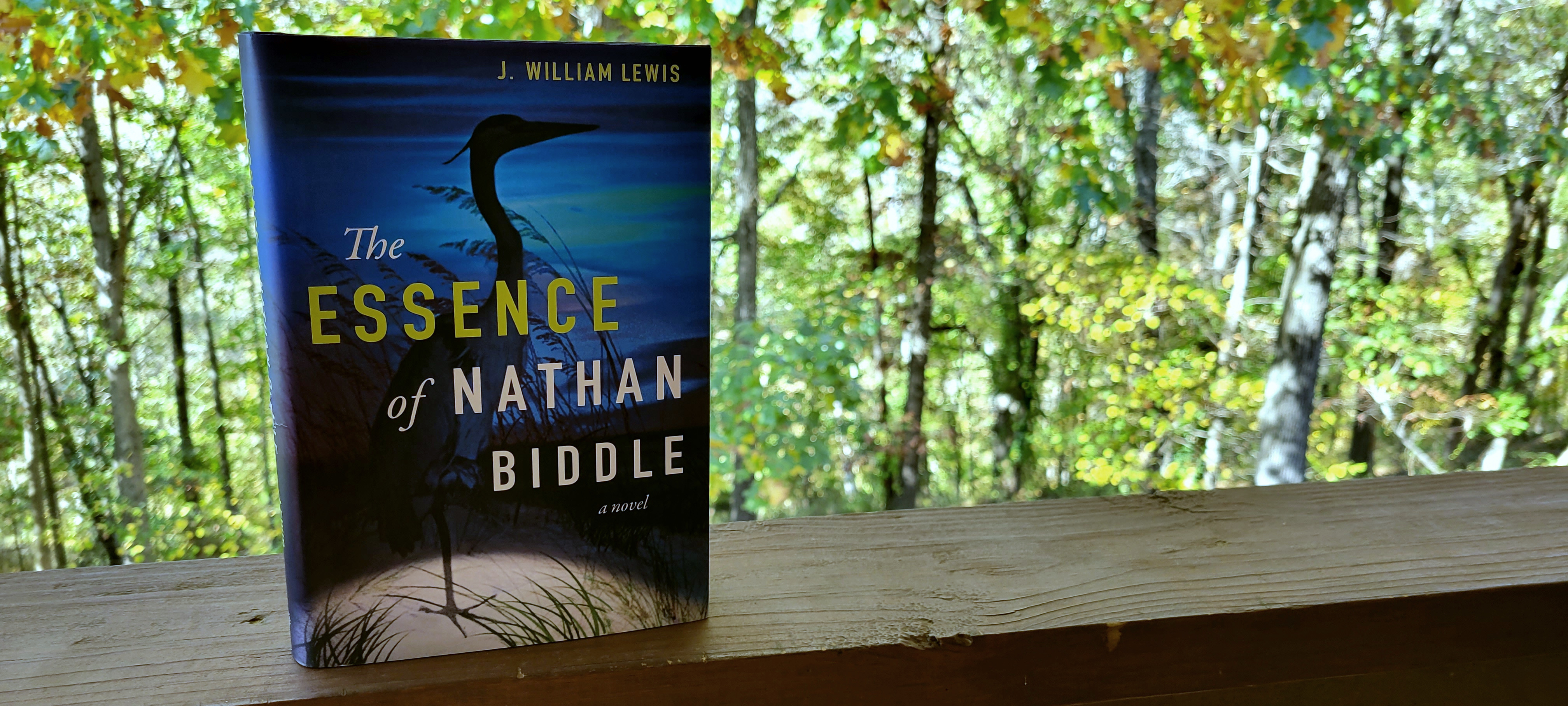 The Essence of Nathan Biddle by J. William Lewis