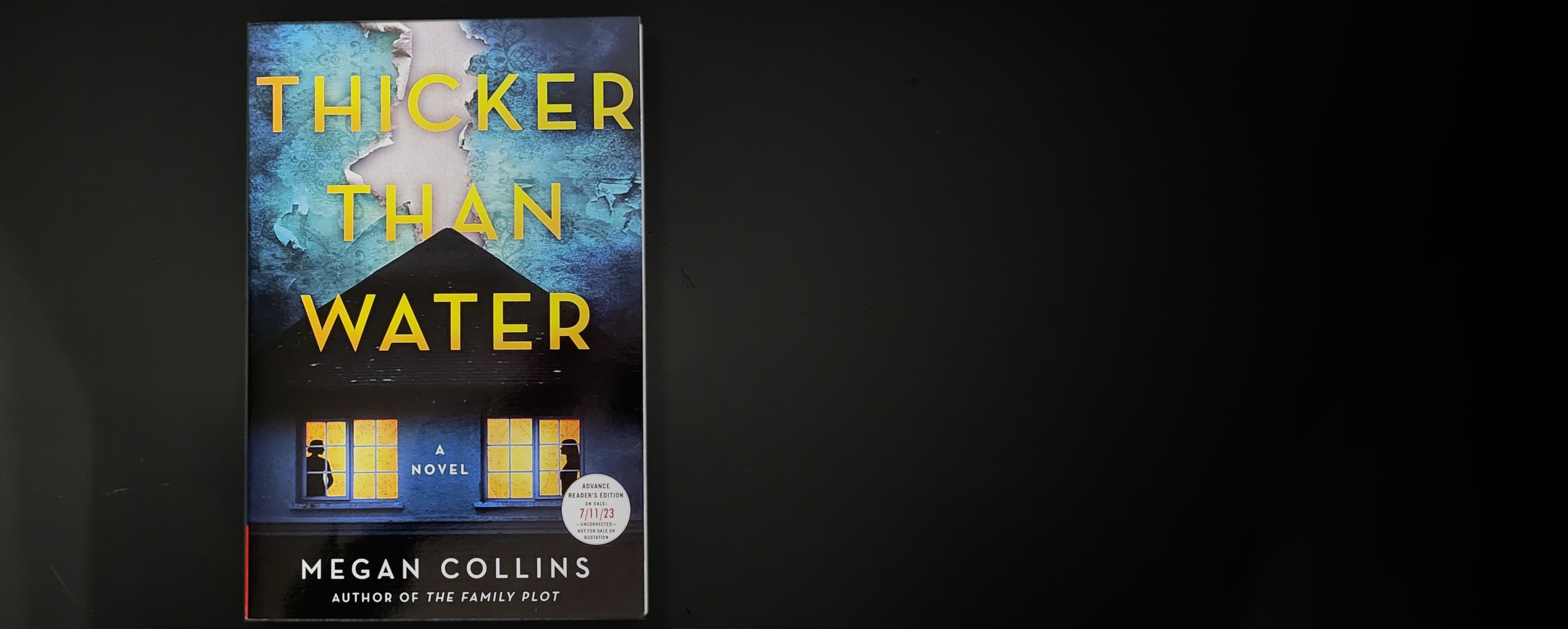 Book cover of Thicker Than Water by Megan Collins