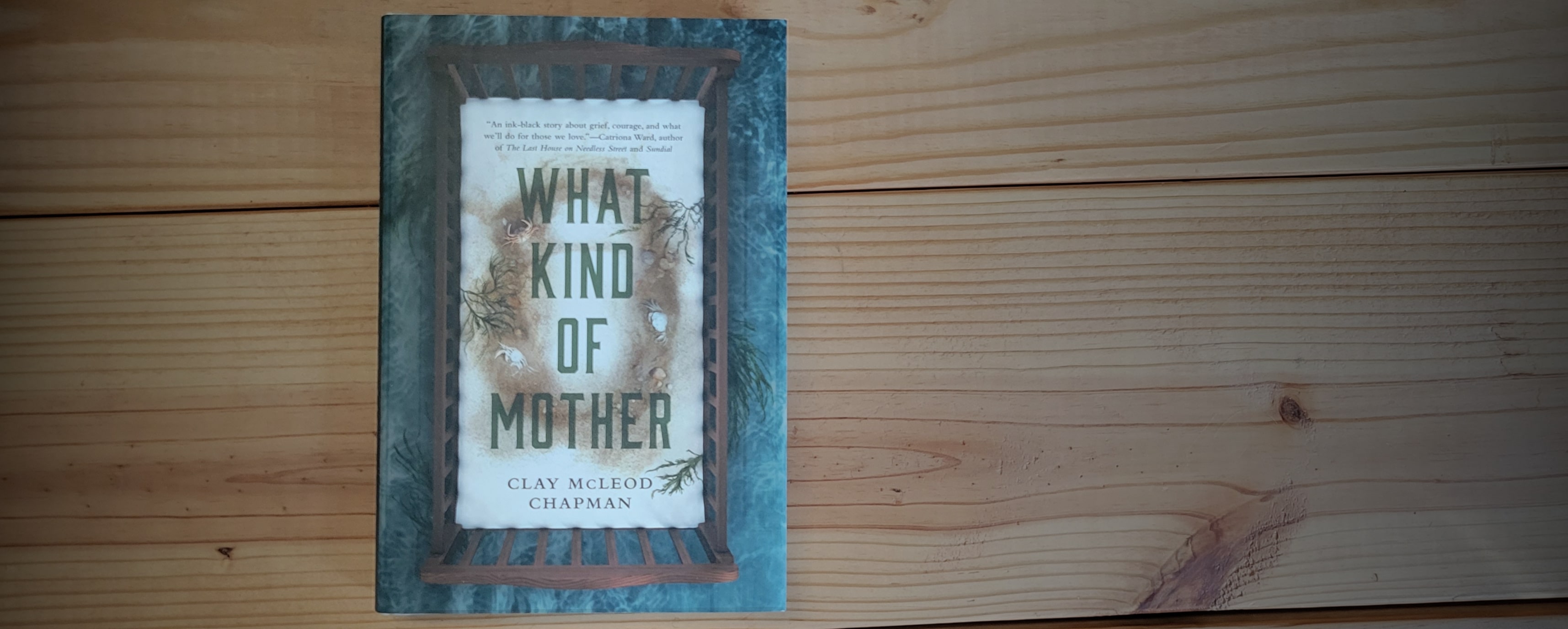 Book Cover of What Kind of Mother by Clay McLeod Chapman